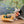 Load image into Gallery viewer, Maileg, Rubber Boat (Dusty Yellow)