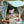 Load image into Gallery viewer, Maileg, Walter The Wildlife Guide Mouse