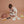 Load image into Gallery viewer, Olli Ella, Dinkum Dog Vet Set