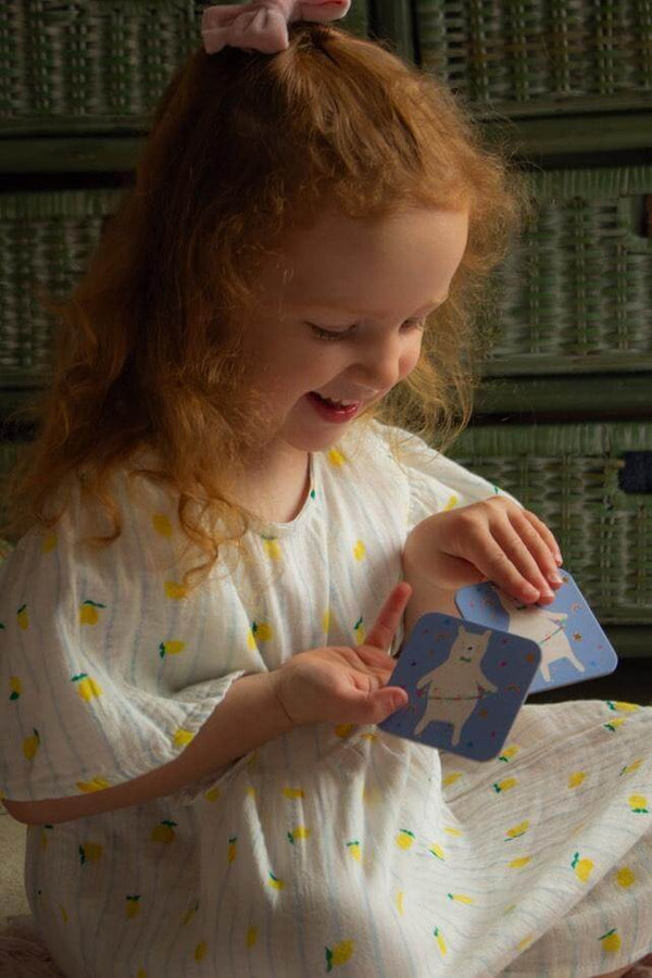 Floss and Rock, Rainbow Fairy Memory Match Game