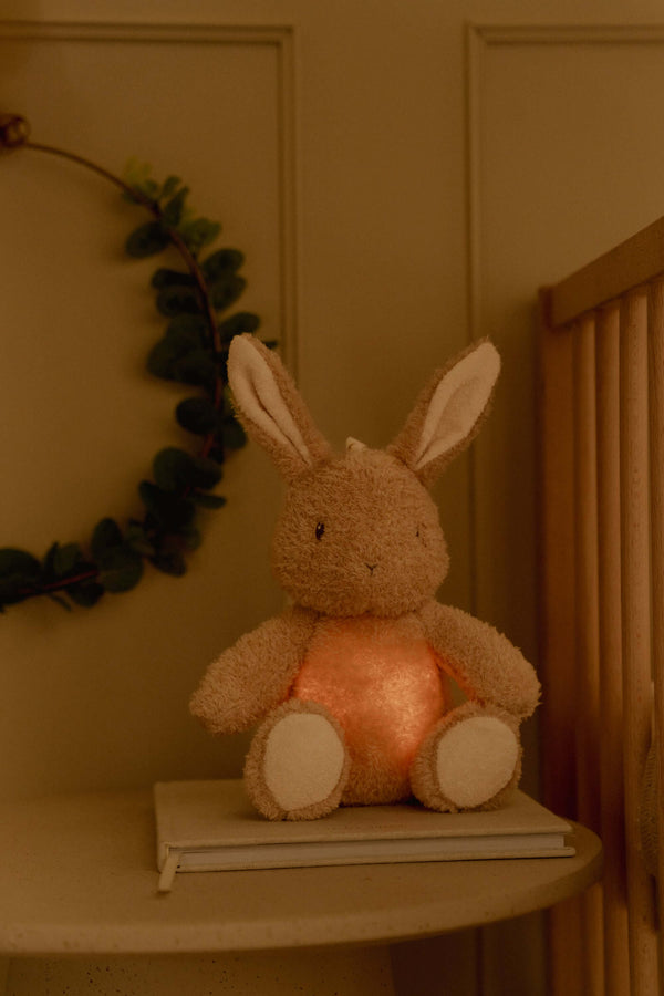 Little Dutch, Cuddle Bunny Light & Sound GRS