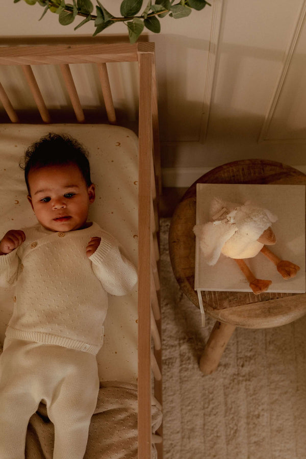 Little Dutch, Cuddle Goose Light & Sound