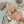 Load image into Gallery viewer, Maileg, Puppy Accessories - Rose