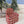 Load image into Gallery viewer, Maileg, Chair, Mouse - Red