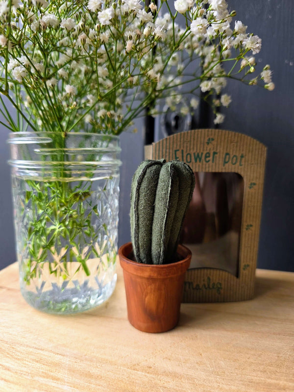 Maileg, Flower Pot with Cactus