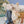 Load image into Gallery viewer, Maileg, Grandma & Grandpa Mouse in a Cigar Box