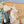 Load image into Gallery viewer, Maileg, Grandma & Grandpa Mouse in a Cigar Box