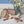 Load image into Gallery viewer, Maileg, Puppy Accessories - Rose