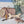 Load image into Gallery viewer, Maileg, Puppy Accessories - Rose