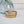 Load image into Gallery viewer, Maileg, Tooth Box (Gold)