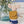 Load image into Gallery viewer, Maileg, Tricycle Mouse, Big Brother w Bag