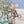 Load image into Gallery viewer, Maileg, Walter The Wildlife Guide Mouse