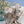 Load image into Gallery viewer, Maileg, Winter Mouse Big Brother