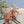 Load image into Gallery viewer, Maileg, Winter Mouse Big Sister