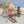 Load image into Gallery viewer, Maileg, Winter Mouse Mum