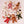 Load image into Gallery viewer, Olli Ella, Dinky Dinkums - Bobby Bear