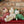 Load image into Gallery viewer, Olli Ella, Dozy Dinkums - Pie