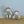 Load image into Gallery viewer, Olli Ella, Dinkum Dolls - Pea