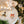 Load image into Gallery viewer, Santa’s Wooden Lost Button Keepsake
