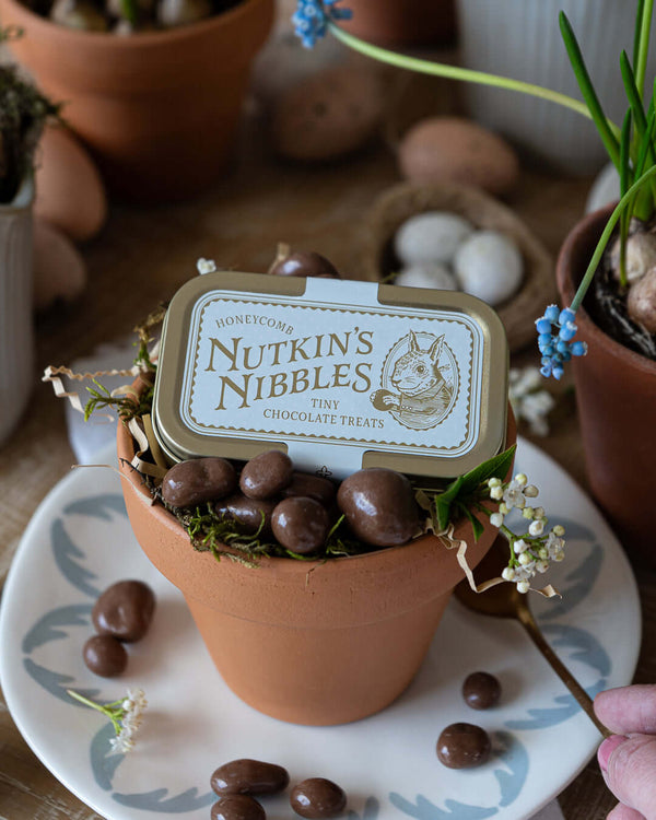 The Chocolate Gift Company, Nutkins Nibble’s Honeycomb