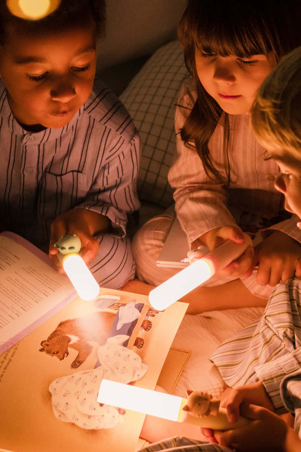 Zoofamily, Zoo Light Dino