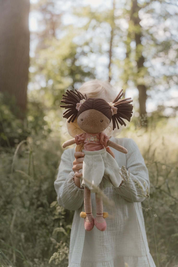 Little Dutch, Fairy Evi