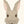 Abel and the Label, Buttons The Circus Bunny - Unframed