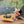 Maileg, Rubber Boat