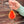 Cotton Twist, Make Your Own Pom Pom Robin Decoration Kit