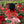 Lola Ladybug plush doll with spotty wings sitting on a pink basket surrounded by blooming red flowers.