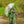 Floss and Rock, Colour Changing 3D Umbrella - Dinosaur