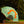 Floss and Rock, Colour Changing 3D Umbrella - Dinosaur