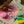 Floss and Rock,  Rainbow Fairy Clay & Play