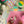 Floss and Rock,  Rainbow Fairy Clay & Play
