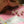 Floss and Rock,  Rainbow Fairy Clay & Play