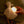 Little Dutch, Cuddle Goose Light & Sound
