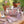 Little Dutch, Garden Gift Set 10-piece Fairy Garden FSC