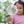 Little Dutch, Magnifying Glass - Fairy Garden