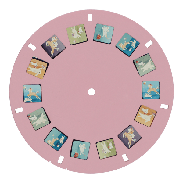 Little Dutch, Story Viewer FSC