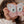 Little Dutch, Story Viewer FSC