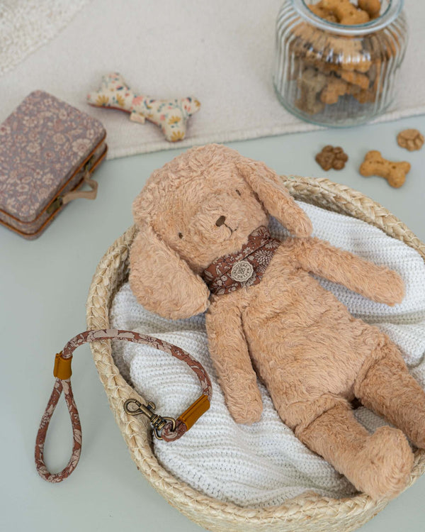 Puppy accessories shop