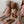 Maileg, Size 2  Bunny In Cream Ballerina Outfit
