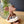 Maileg, Beach Mouse with Float, Little Brother - Yellow Dots