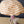 Maileg, Beach Umbrella, Mouse - Soft Coral