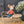 Maileg, Café Set, Mouse, Big - Pale Pink