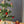 Maileg, Christmas Tree, Mouse