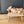Maileg, Coffee Table, Mouse - Nature