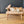 Maileg, Coffee Table, Mouse - Nature
