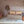 Maileg, Couch, Mouse - Mable