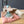 Maileg, Dance Mouse in Daybed, Little Sister
